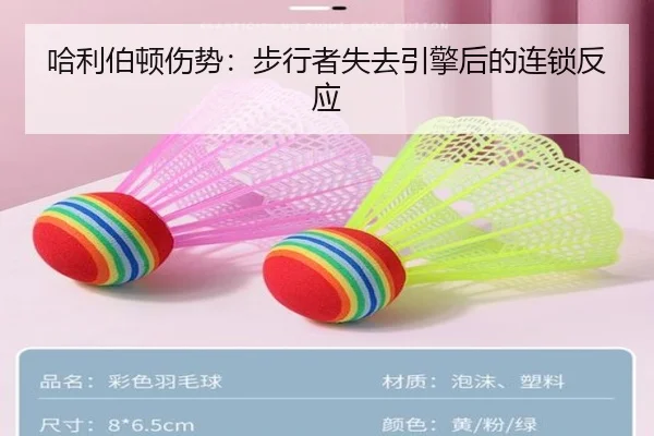 ha-li-bo-dun-shang-shi-bu-xing-zhe-shi-qu-yin-qing-hou-de-lian-suo-fan-ying-2-387.jpg